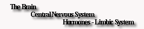 about the brain central nervous system hormones