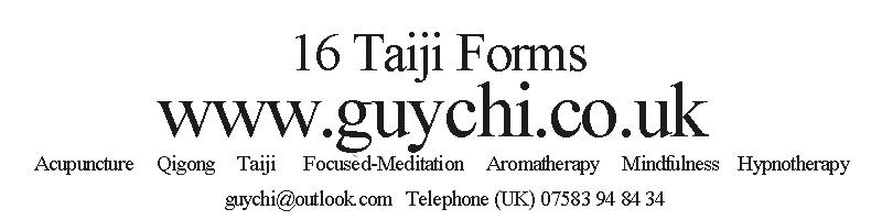16 taiji forms